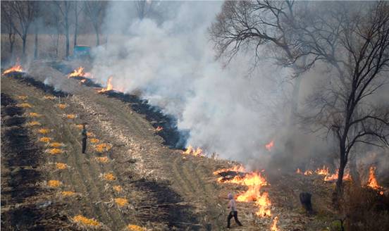 乐橙国际·lc8(中国游)官方网站