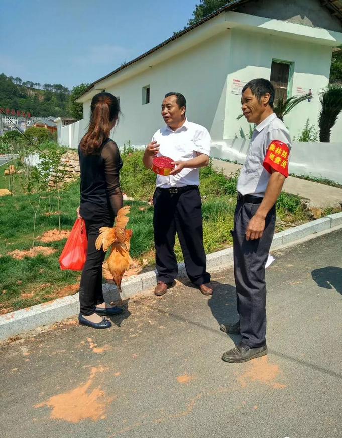 乐橙国际·lc8(中国游)官方网站