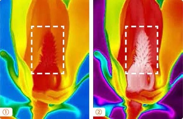 乐橙国际·lc8(中国游)官方网站