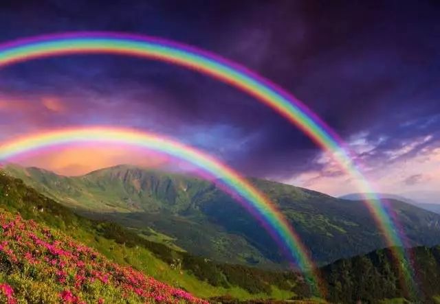 乐橙国际·lc8(中国游)官方网站