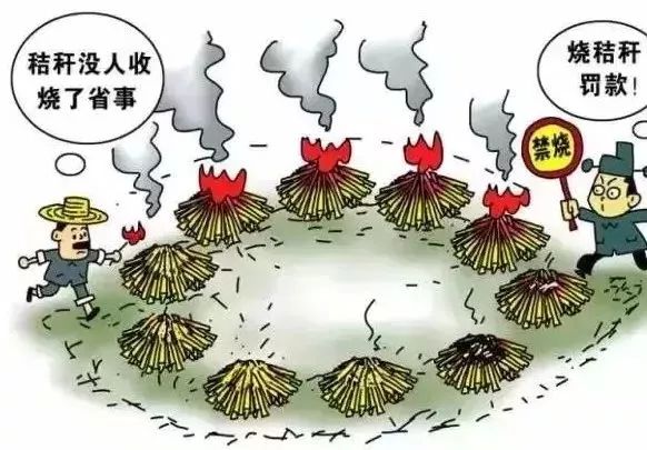 乐橙国际·lc8(中国游)官方网站