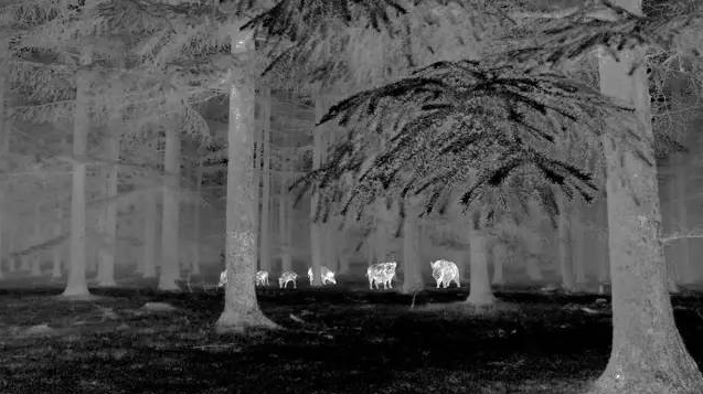 乐橙国际·lc8(中国游)官方网站