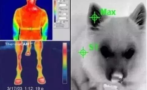 乐橙国际·lc8(中国游)官方网站