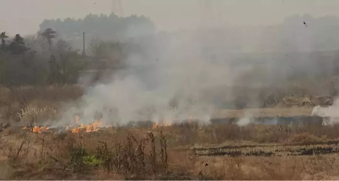 乐橙国际·lc8(中国游)官方网站