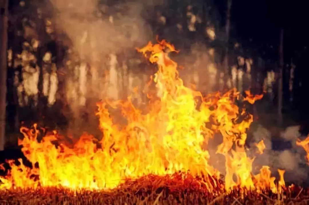 乐橙国际·lc8(中国游)官方网站