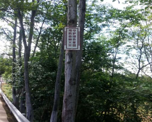 乐橙国际·lc8(中国游)官方网站