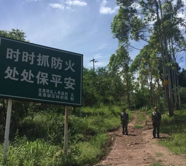 乐橙国际·lc8(中国游)官方网站