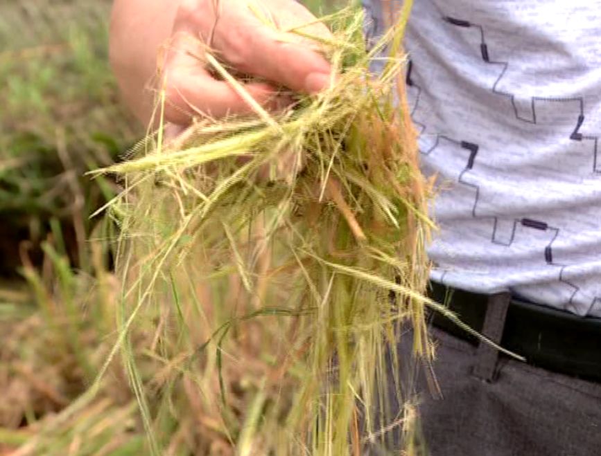 乐橙国际·lc8(中国游)官方网站