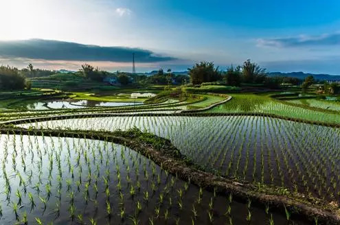 乐橙国际·lc8(中国游)官方网站