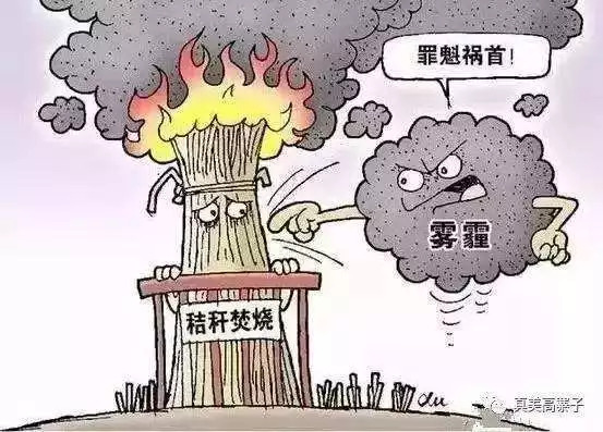 乐橙国际·lc8(中国游)官方网站