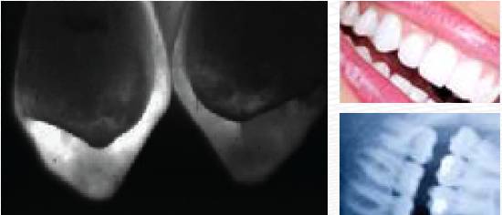 乐橙国际·lc8(中国游)官方网站