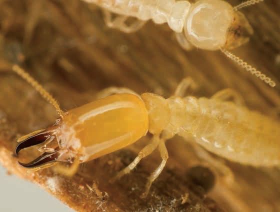 乐橙国际·lc8(中国游)官方网站