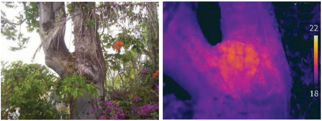 乐橙国际·lc8(中国游)官方网站