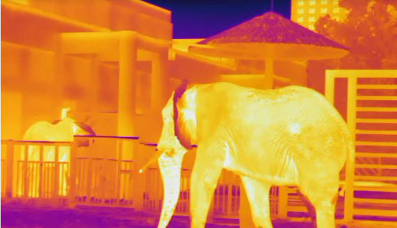 乐橙国际·lc8(中国游)官方网站