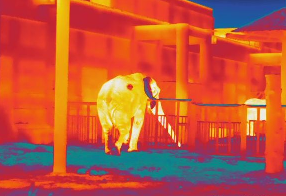 乐橙国际·lc8(中国游)官方网站