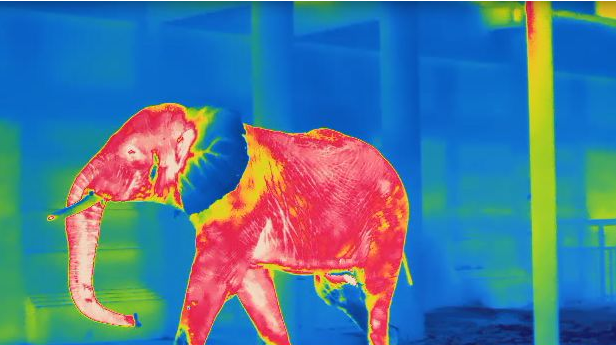 乐橙国际·lc8(中国游)官方网站