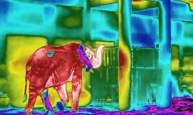 乐橙国际·lc8(中国游)官方网站