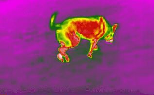 乐橙国际·lc8(中国游)官方网站