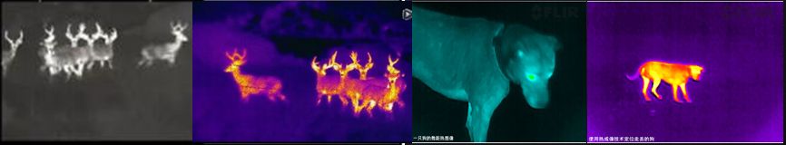 乐橙国际·lc8(中国游)官方网站