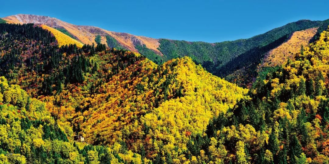 乐橙国际·lc8(中国游)官方网站