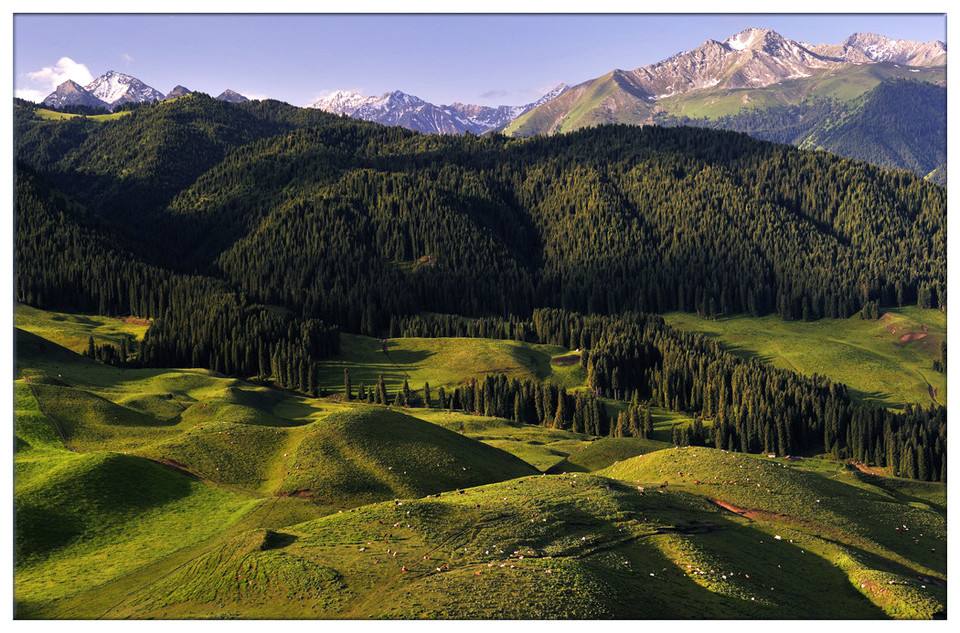 乐橙国际·lc8(中国游)官方网站