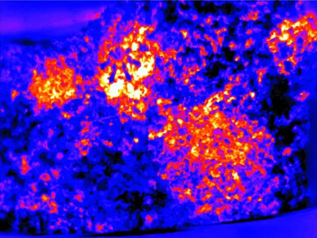 乐橙国际·lc8(中国游)官方网站