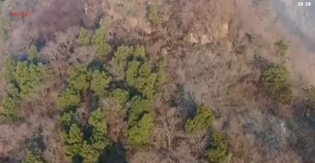 乐橙国际·lc8(中国游)官方网站