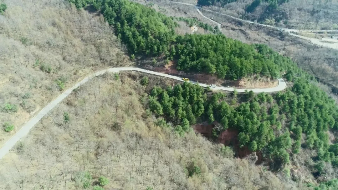 乐橙国际·lc8(中国游)官方网站