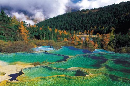 自然保；；；で苤卫砑嗫叵低