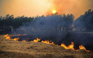 乐橙国际·lc8(中国游)官方网站