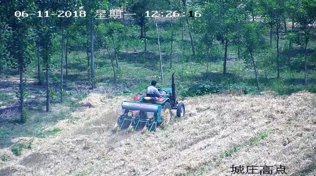 乐橙国际·lc8(中国游)官方网站