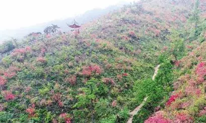 乐橙国际·lc8(中国游)官方网站