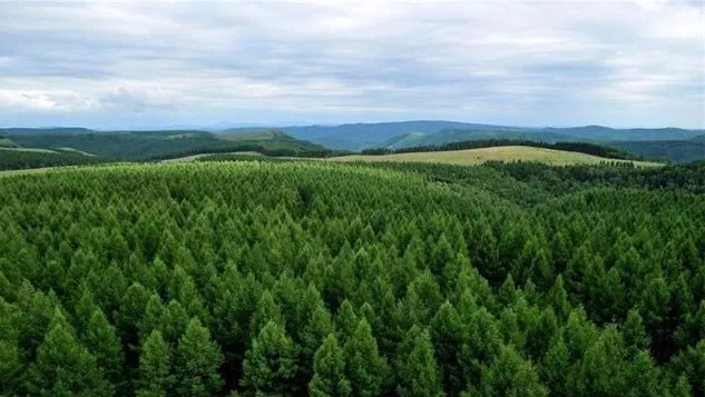 乐橙国际·lc8(中国游)官方网站