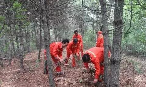 乐橙国际·lc8(中国游)官方网站