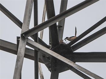 乐橙国际·lc8(中国游)官方网站