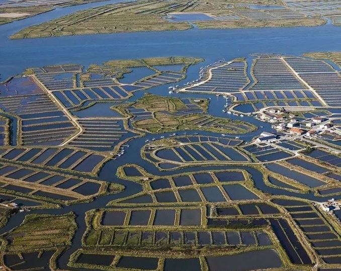 激光夜视球型转台摄像机